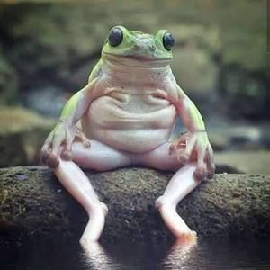 Meet your Posher, Joyce